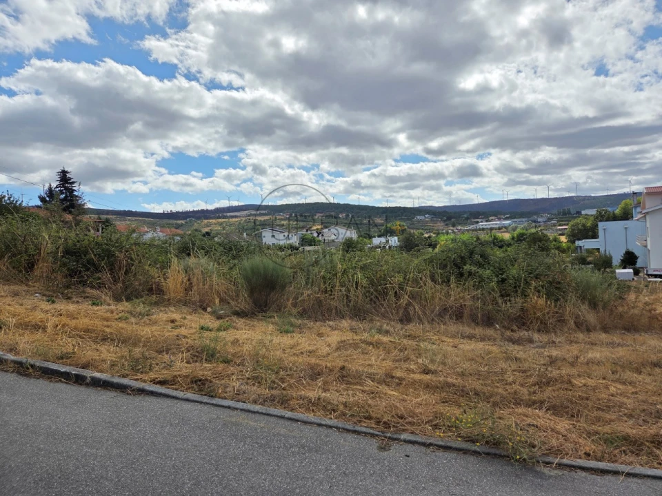 Terreno para Venda em Moimenta da Beira Foto 5