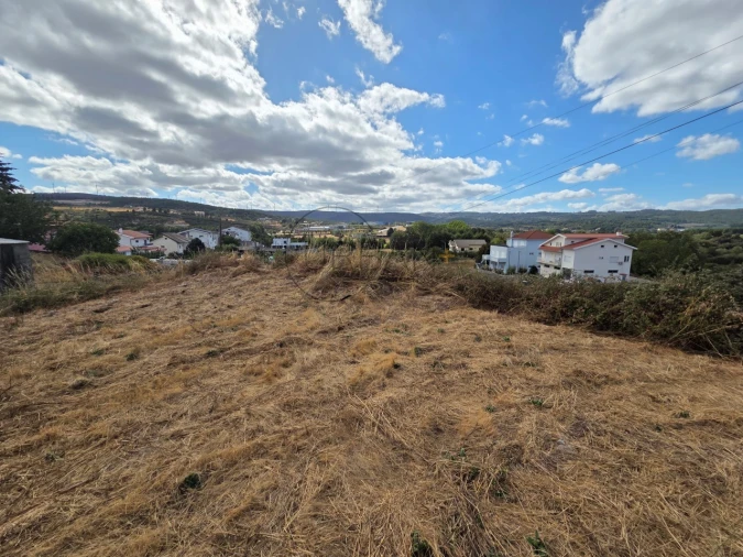 Terreno para Venda em Moimenta da Beira Foto 3