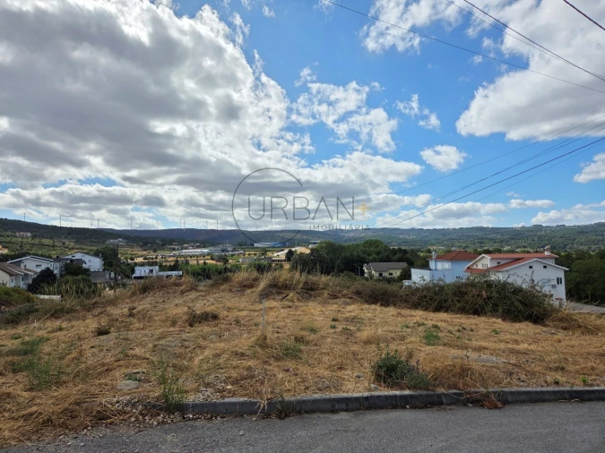 Terreno para Venda em Moimenta da Beira Foto 6