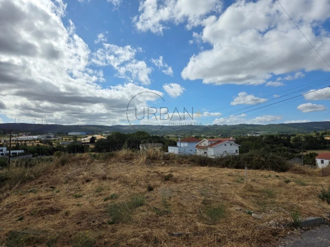 Terreno para Venda em Moimenta da Beira Foto 7