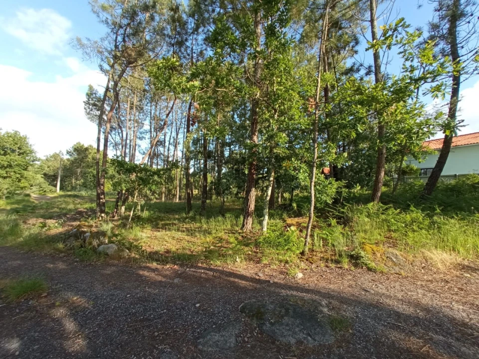 Terreno para Venda em Bodiosa Foto 3
