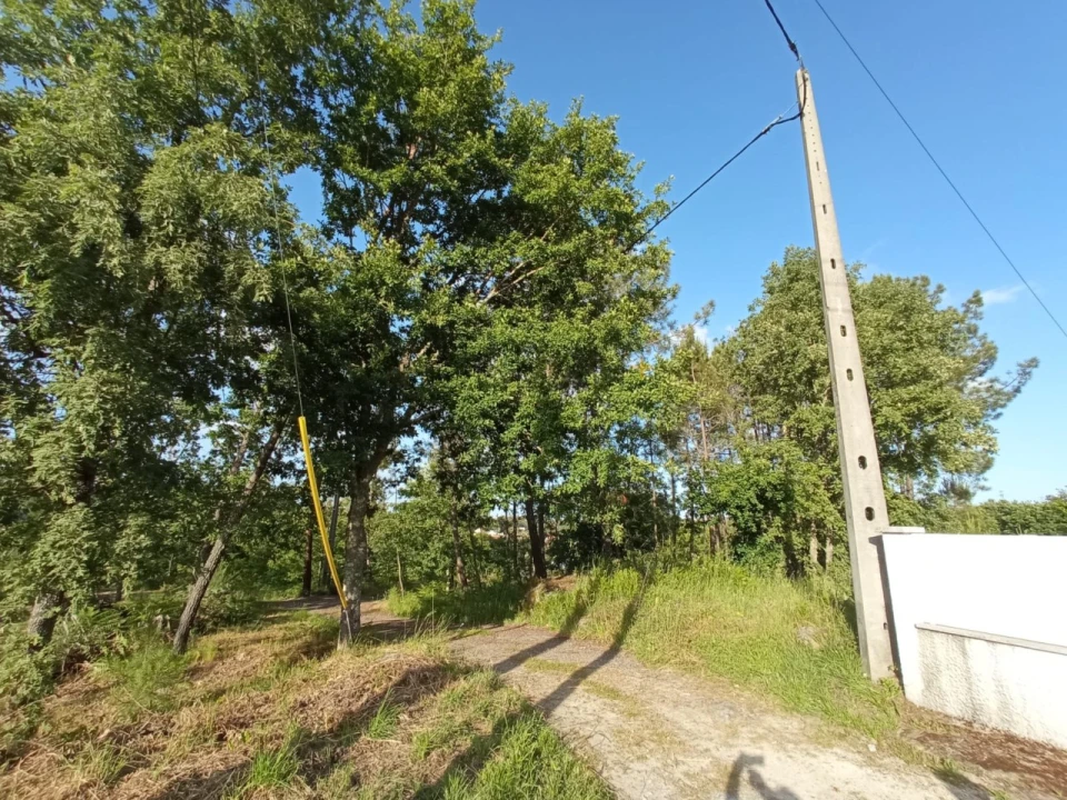Terreno para Venda em Bodiosa Foto 7