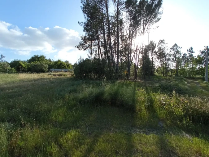 Terreno para Venda em Bodiosa Foto 5