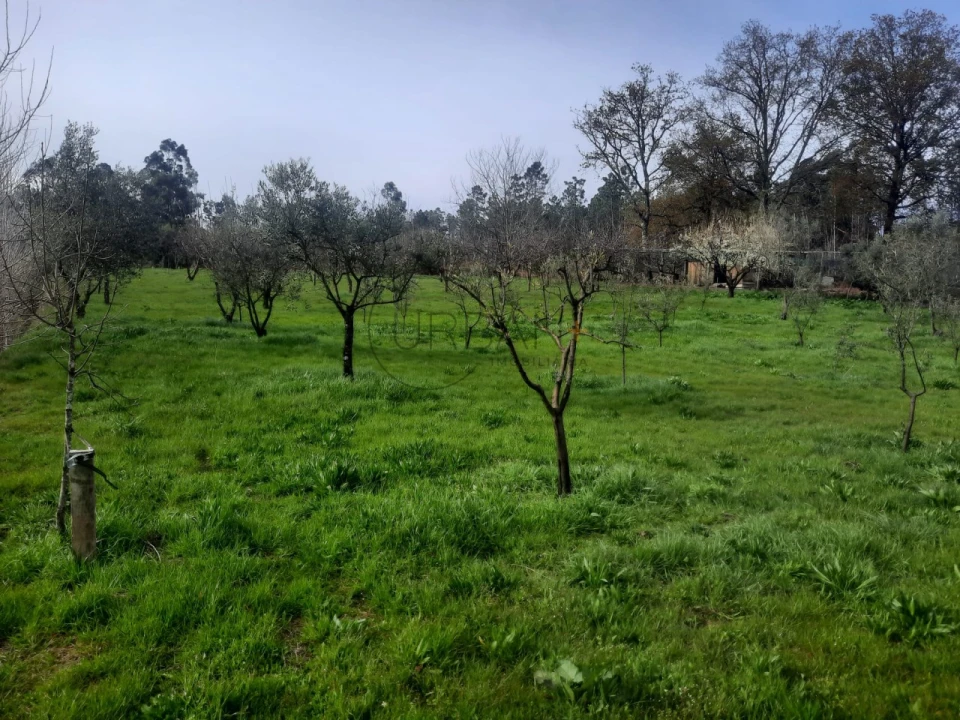 Terreno para Venda em Cavernães Foto 1