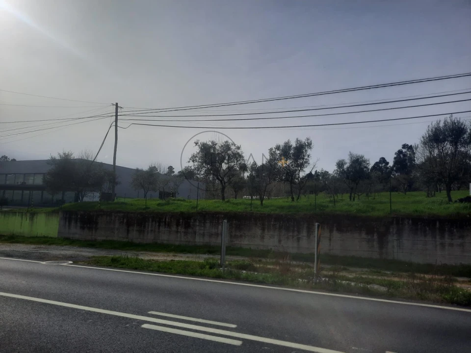 Terreno para Venda em Cavernães Foto 2