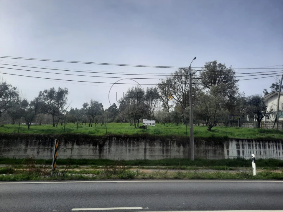 Terreno para Venda em Cavernães Foto 3