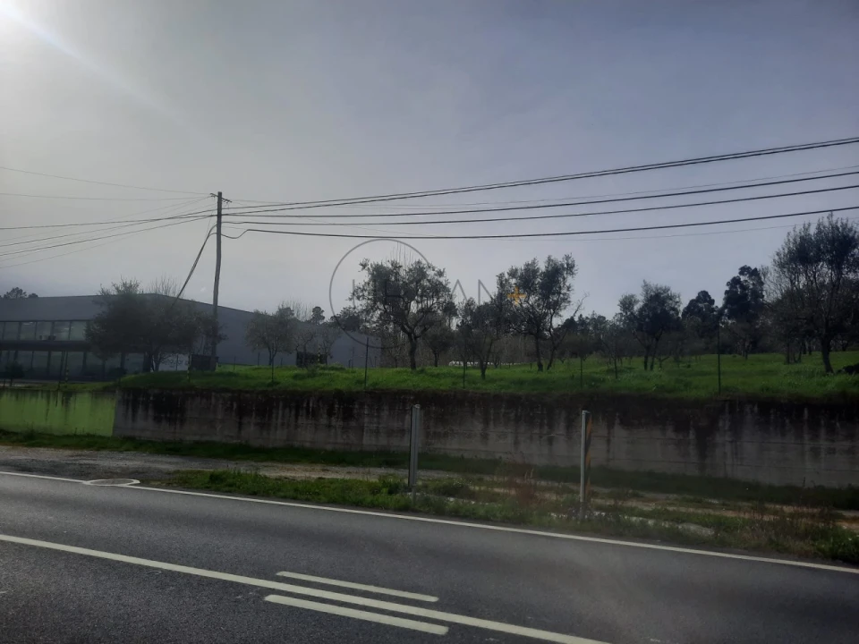 Terreno para Venda em Cavernães Foto 4
