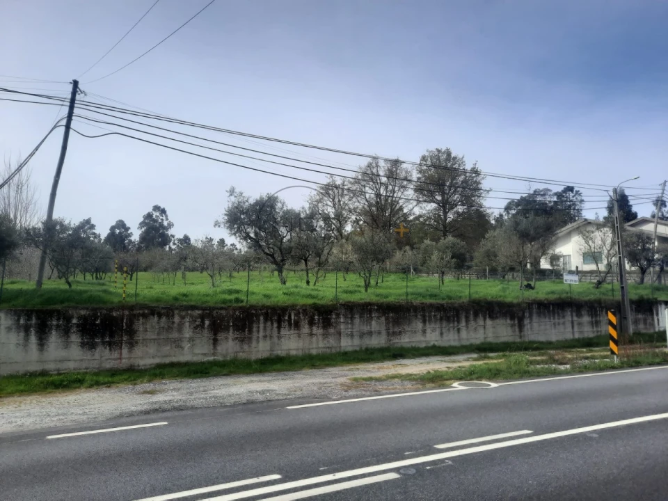 Terreno para Venda em Cavernães Foto 5