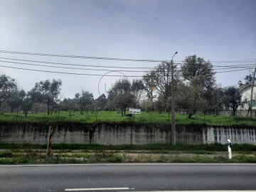 Terreno para Venda em Cavernães