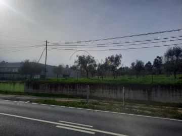 Terreno para Venda em Cavernães