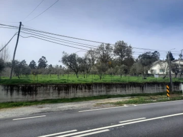 Terreno para Venda em Cavernães