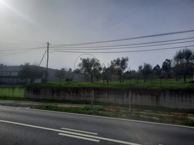 Terreno para Venda em Cavernães Foto 2