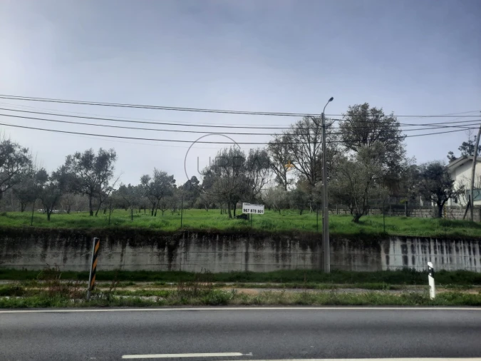 Terreno para Venda em Cavernães Foto 3