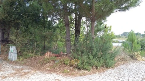 Terreno para Venda em Mundão