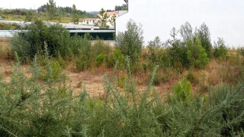 Terreno para Venda em Mundão