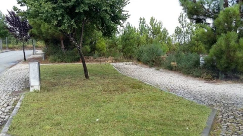 Terreno para Venda em Mundão
