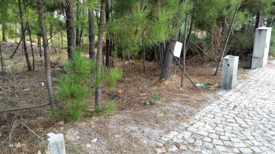 Terreno para Venda em Mundão