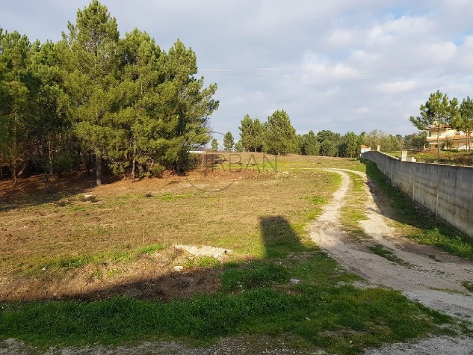 Terreno para Venda em Rio de Loba Foto 1