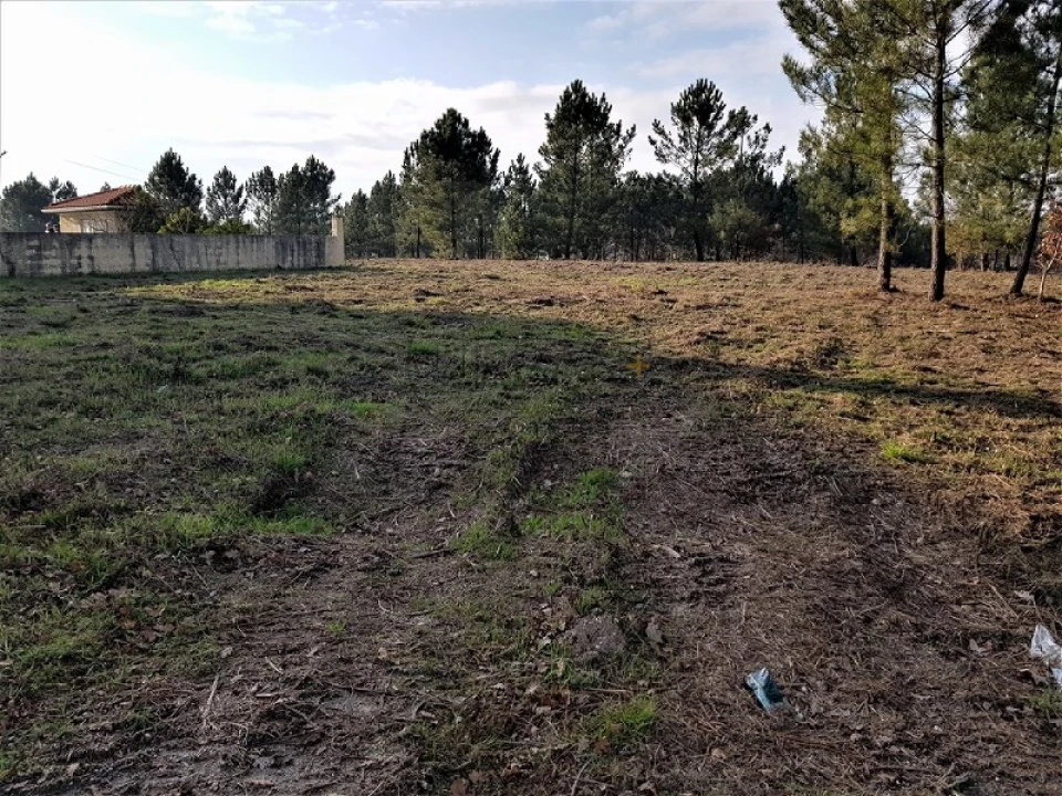 Terreno para Venda em Rio de Loba Foto 3