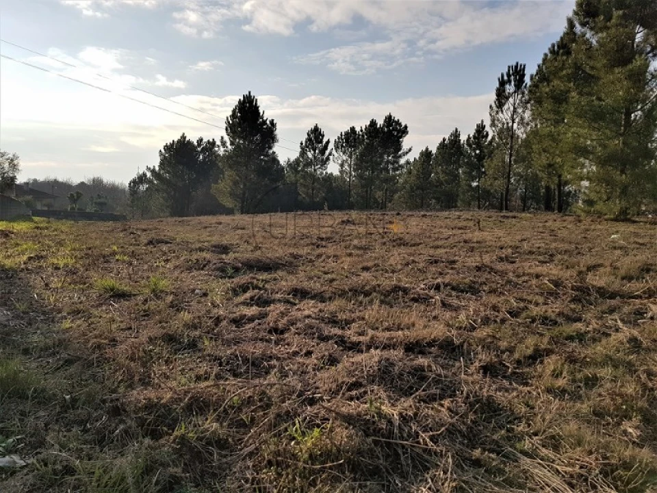 Terreno para Venda em Rio de Loba Foto 4