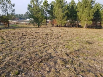 Terreno para Venda em Rio de Loba