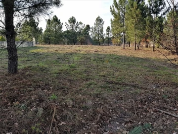Terreno para Venda em Rio de Loba