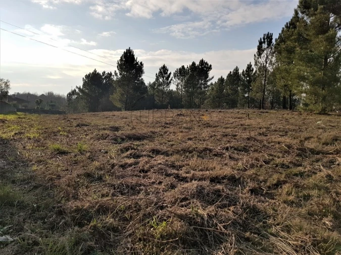 Terreno para Venda em Rio de Loba Foto 4