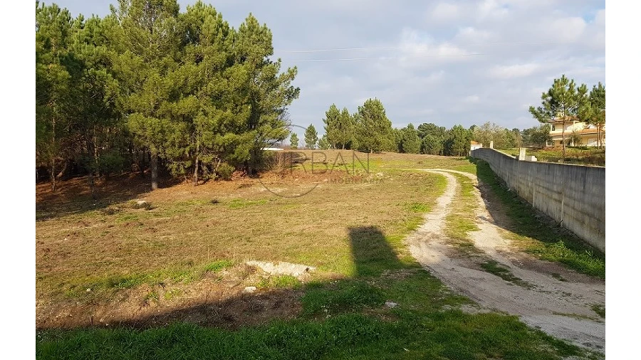 Terreno para Venda em Rio de Loba