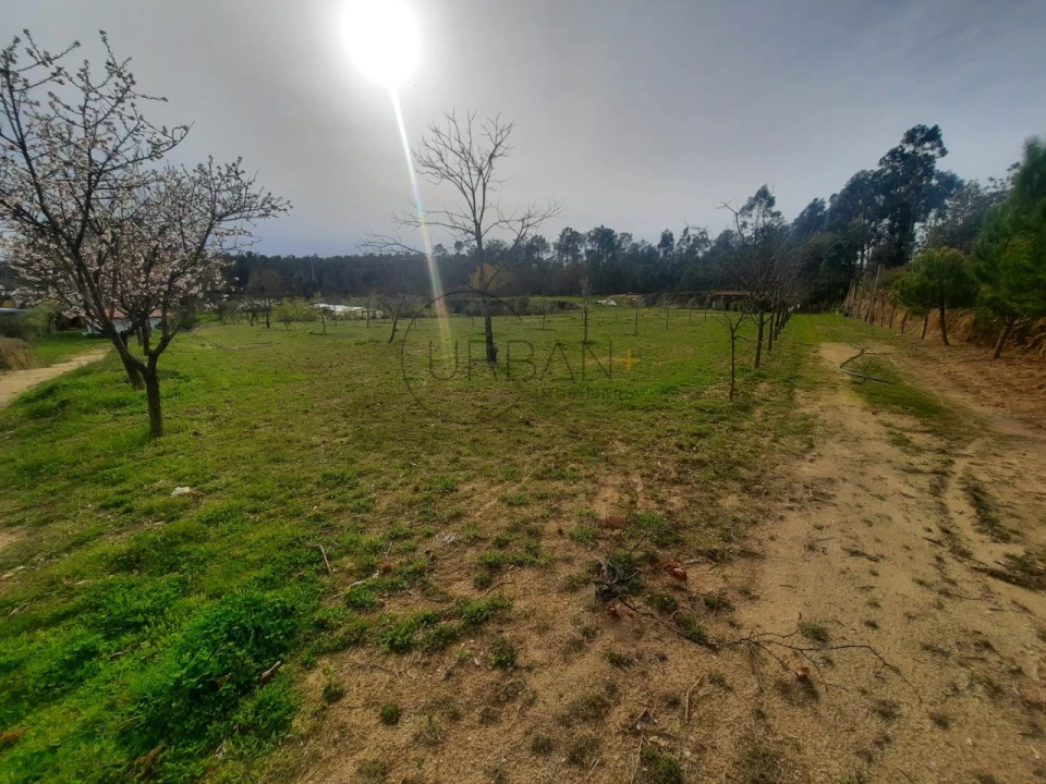 Terreno para Venda em Cavernães Foto 1