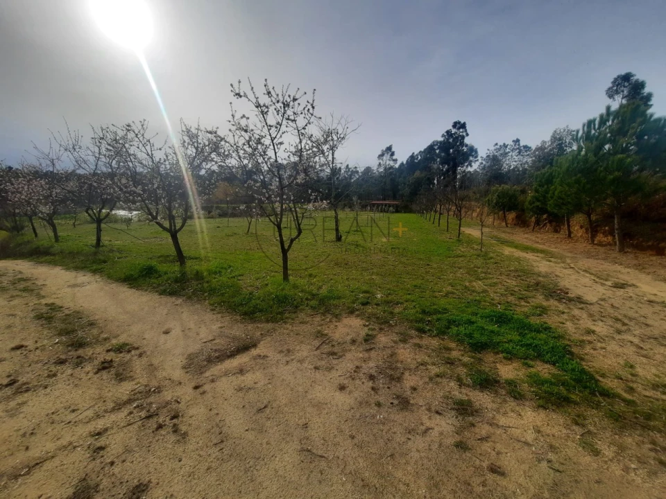 Terreno para Venda em Cavernães Foto 2