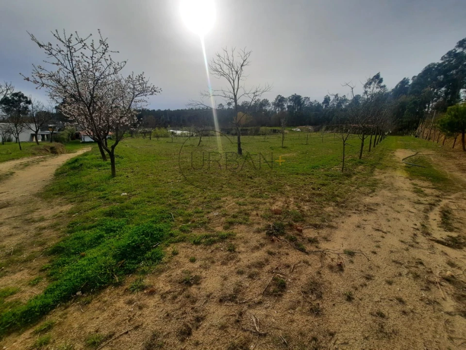 Terreno para Venda em Cavernães Foto 3
