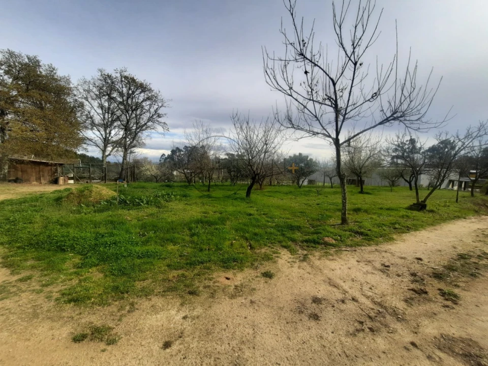 Terreno para Venda em Cavernães Foto 4