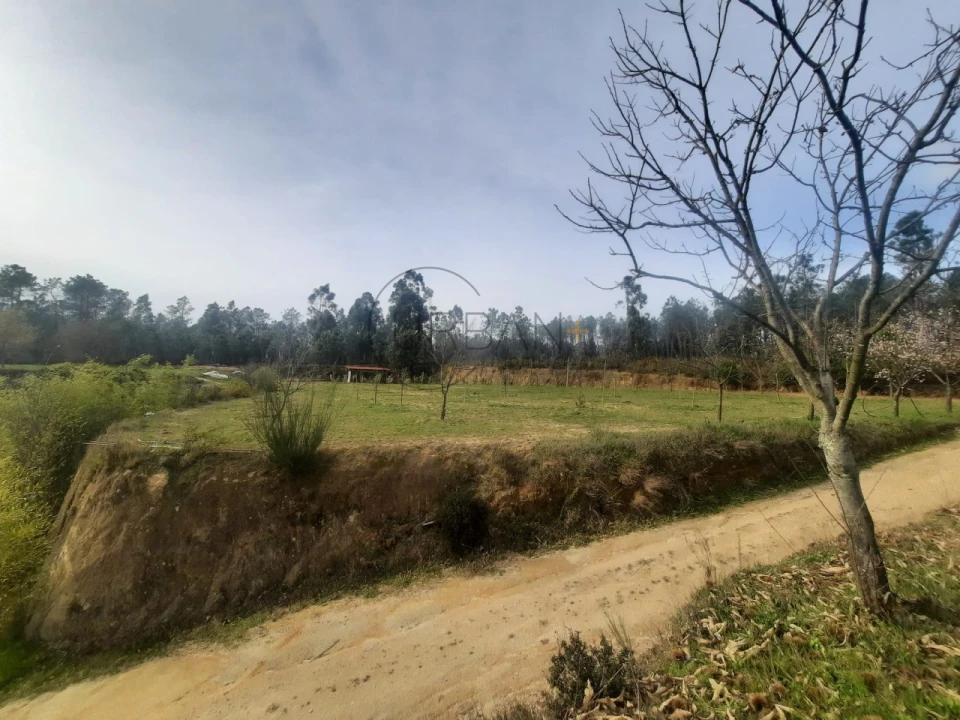 Terreno para Venda em Cavernães Foto 5