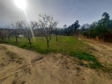 Terreno para Venda em Cavernães