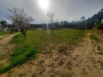 Terreno para Venda em Cavernães