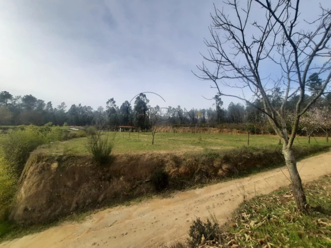Terreno para Venda em Cavernães Foto 5