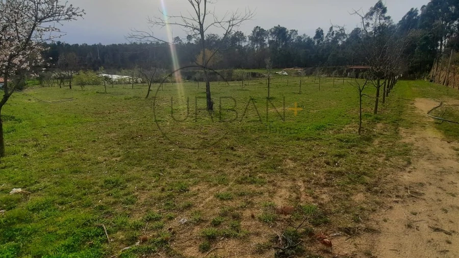 Terreno para Venda em Cavernães