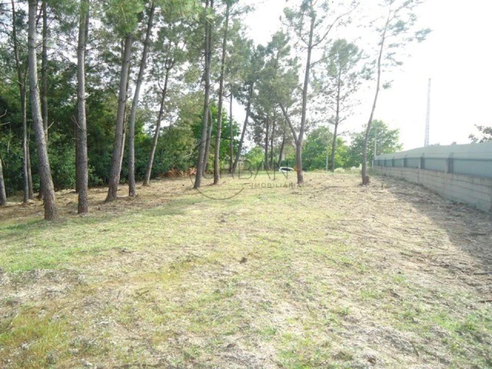 Terreno para Venda em São João de Lourosa Foto 1
