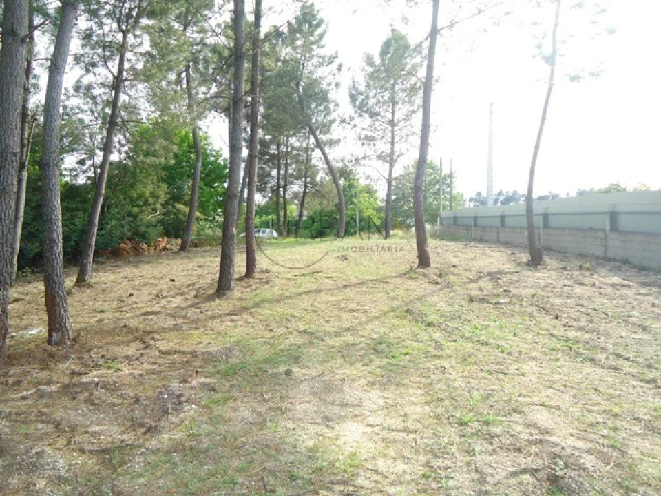 Terreno para Venda em São João de Lourosa Foto 3