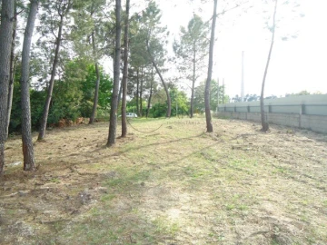 Terreno para Venda em São João de Lourosa