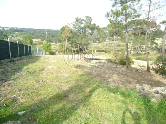 Terreno para Venda em São João de Lourosa Foto 2
