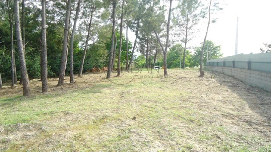 Terreno para Venda em São João de Lourosa