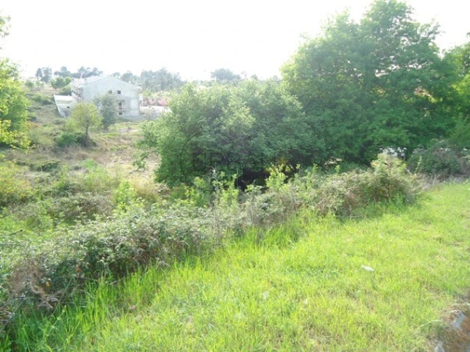 Terreno para Venda em São João de Lourosa Foto 2