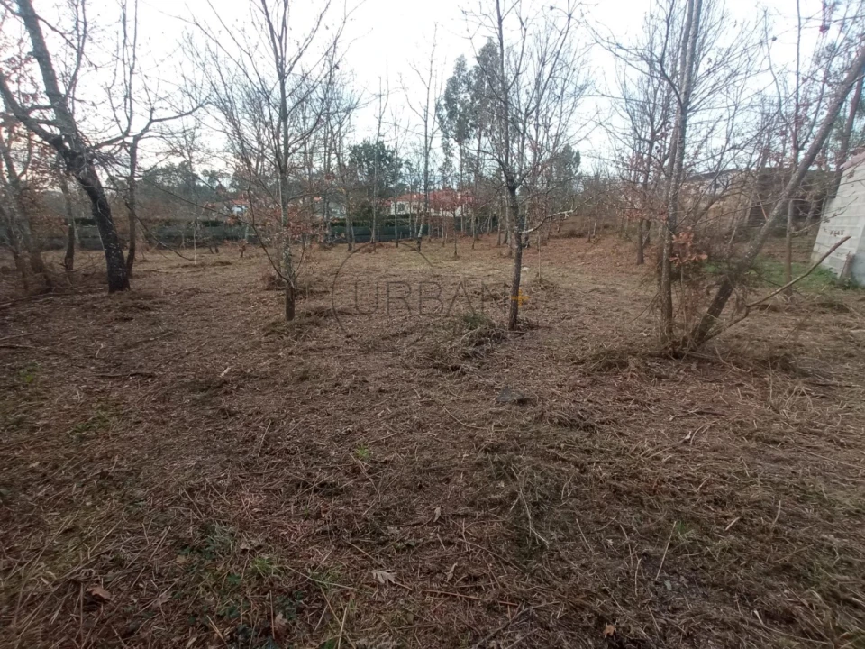 Terreno para Venda em Bodiosa Foto 2