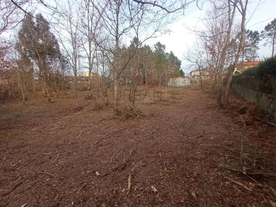 Terreno para Venda em Bodiosa Foto 4