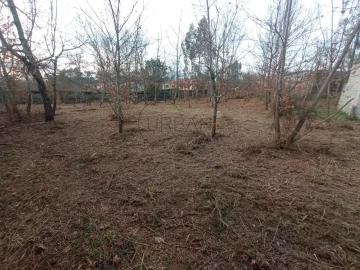 Terreno para Venda em Bodiosa