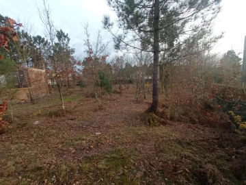 Terreno para Venda em Bodiosa