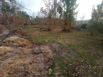 Terreno para Venda em Bodiosa