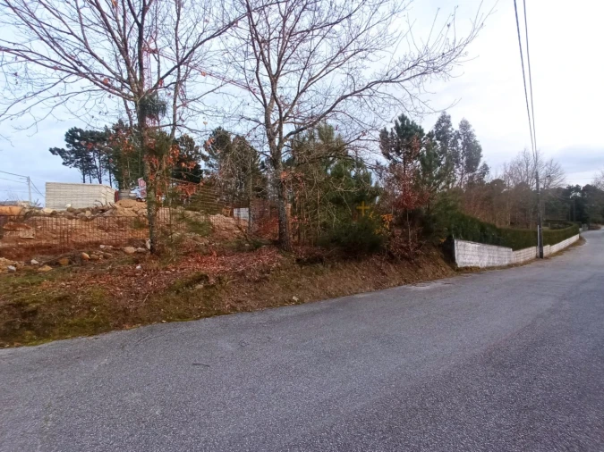 Terreno para Venda em Bodiosa