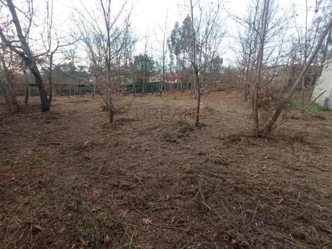 Terreno para Venda em Bodiosa Foto 2